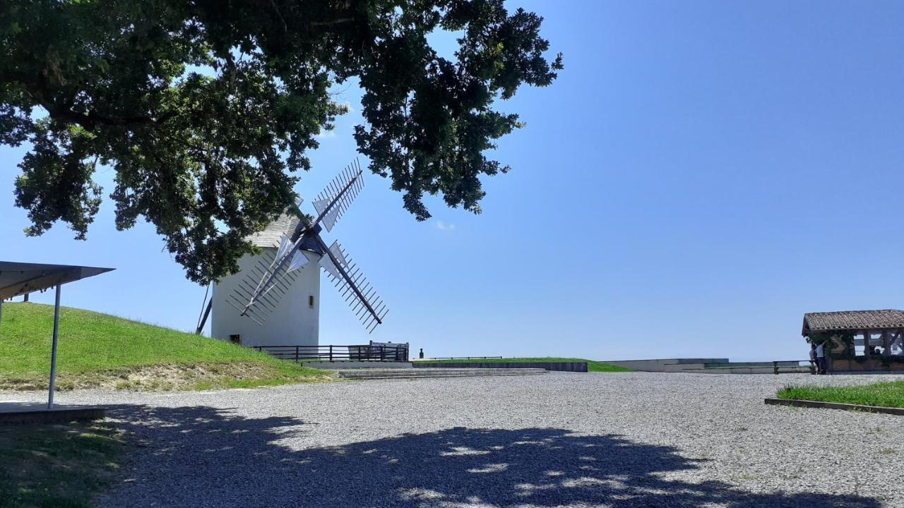 Chambres D'Hotes Du Hourne Saint-Pandelon Dış mekan fotoğraf