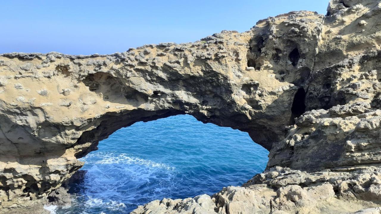 Chambres D'Hotes Du Hourne Saint-Pandelon Dış mekan fotoğraf